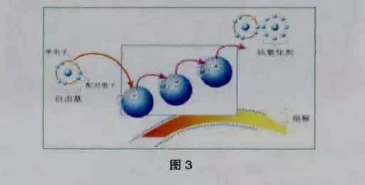 �Չ��C(j��)���ɫ׃��